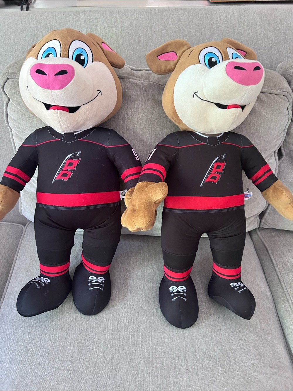Carolina Hurricanes Stormy 20" Jumbo Mascot Plush Figure